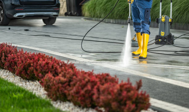 Best House Exterior Washing  in Fredericksburg, TX